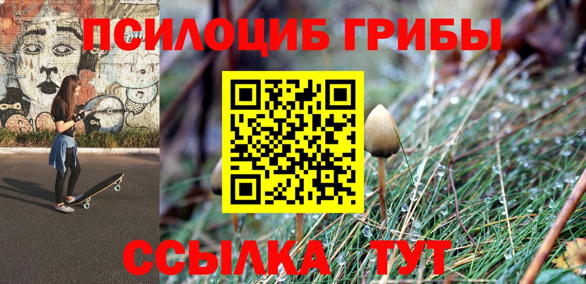 Псилоцибиновые грибы MAGIC MUSHROOMS  Вход с VPN  Менделеевск 